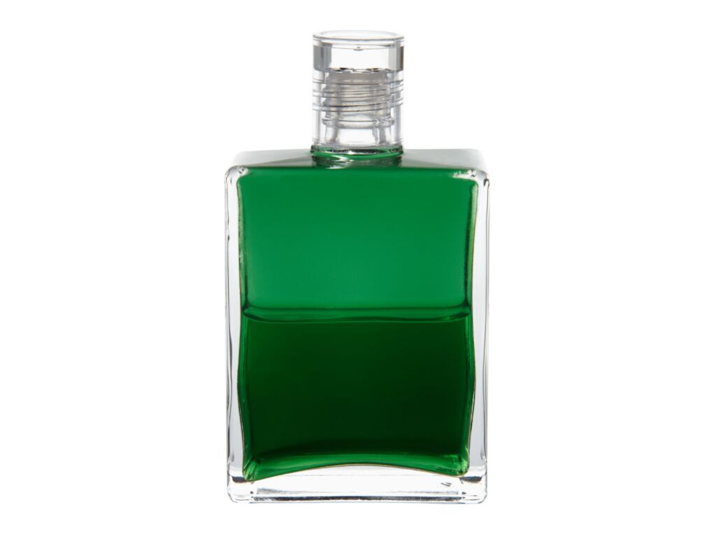 Aura-Soma Equilibrium B10 去擁抱一棵樹